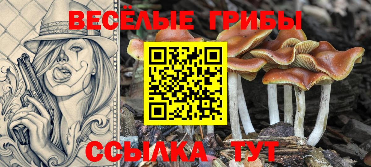 Волгоград  Псилоцибиновые грибы MAGIC MUSHROOMS  Вход с VPN 